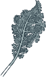 kale03
